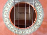 a close up of a guitar with a label on it