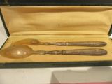 two spoons and a spoon spoon in a case