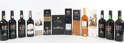 plusieurs bouteilles de vin sont alignées sur une surface blanche
