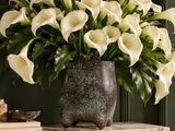 un vase rempli de fleurs blanches posé sur une table en marbre