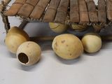 a small musical instrument that is sitting on a table