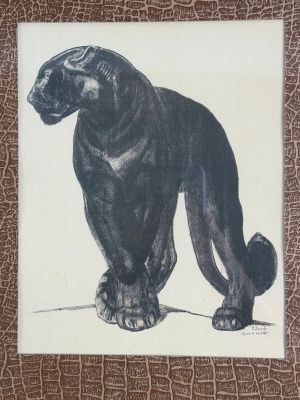 a drawing of a black cat on a white background