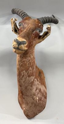 an image of a statue of a goat with horns on it ' s head