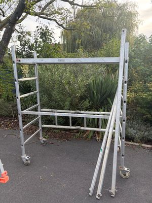 un homme debout à côté d'une échelle dans un parc
