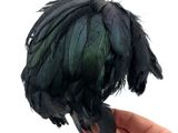 a hand holding a black bird with feathers on it ' s head