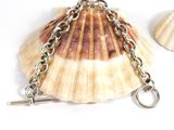 a clam shell with a chain attached to it