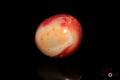 une pomme posée sur une surface noire