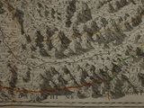a map of a mountain range in the middle of the picture