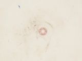 a red stamp on the bottom of a piece of paper