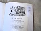 an open book with a picture of a cat on it