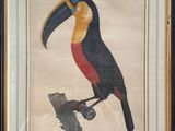 tableau représentant un toucan perché sur une branche, dans un cadre