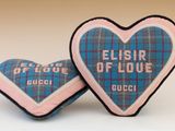 deux coussins en forme de cœur portant l'inscription « flisir of love »