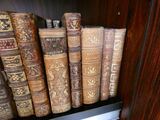 de nombreux livres anciens rangés sur une étagère d'une bibliothèque