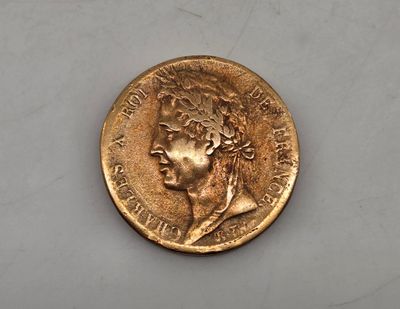 a close up of a coin on a white surface