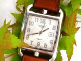 a small square watch sitting on top of a leafy branch