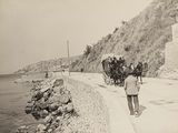 une photo en noir et blanc d'un cheval attelé à une calèche au bord de la route
