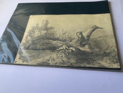 une vieille photo représentant un oiseau perché sur une souche d'arbre dans un champ