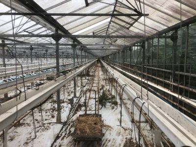 Suite LJ. Loïc PERENNES "Les Serres de KERIONOC" : - SERRE d…