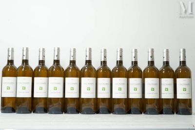 Plusieurs bouteilles de vin blanc sont alignées sur une étagère