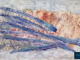 a painting of a bunch of sticks on a piece of paper