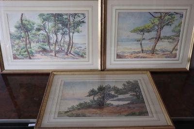 two framed paintings of trees on a table in a room