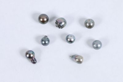 Huit perles de culture de Tahiti. Ø entre 12 et 14,2mm. 27g2. Défauts.