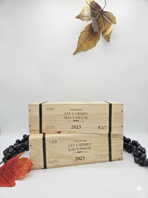 Bordeaux - Lot de 2 Bouteilles en caisse bois d'origine indi…