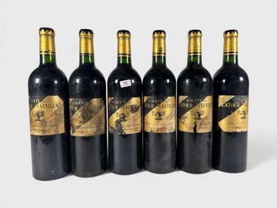 six bouteilles de vin sont alignées sur une surface blanche
