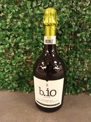 Lot de 60 bouteilles de Vin mousseux - Novebolle Romagna DOP…