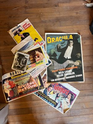 il y a beaucoup d'affiches de cinéma par terre dans cette pièce