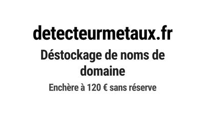 Nom de domaine detecteurmetaux.