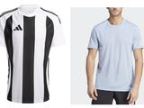 a man in a white shirt and black and white striped shirt