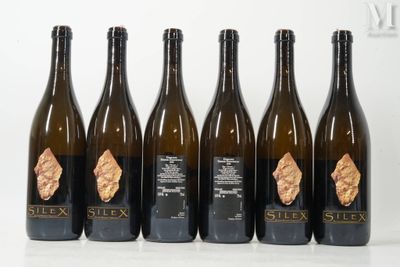 six bouteilles de vin sont alignées sur une surface blanche