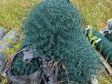 de nombreux types de plantes qui poussent au sol