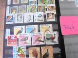 Photo 35/50 du lot