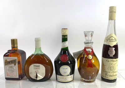Lot de 5 bouteilles : Eau de vie de poire, Liqueur de frambo… - Photo 1