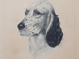 un vieux dessin représentant un chien au museau noir et blanc