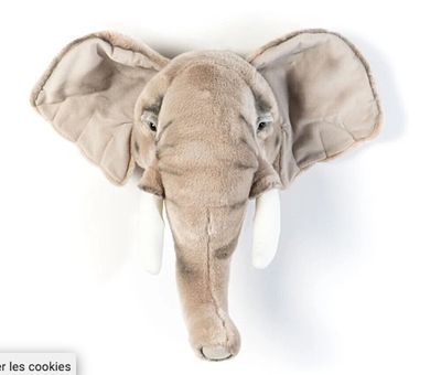 a stuffed elephant head mounted on the wall