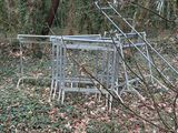 un chien qui se tient près d'une clôture dans les bois