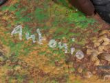 a close up of a person ' s feet on a green surface