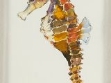 painting of a seahorse in a frame on a white background