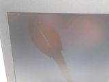 a picture of a picture of a bird flying in the sky