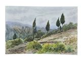 watercolor painting of three trees on a hill with hills in the background