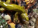 a green lizard that is sitting on some shells