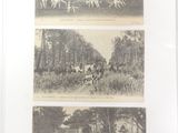 several pictures of a group of people riding horses in a field