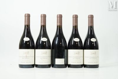 six bouteilles de vin sont alignées sur une surface blanche