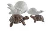 deux salières et poivrières en forme de tortue, surmontées d'une tortue blanche