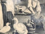 a drawing of a woman feeding ducks and ducks