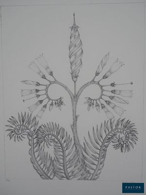 dessin au crayon représentant une plante avec des feuilles et des fleurs sur une feuille de papier blanc