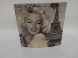 the marilyn monroe album is on display on a white surface